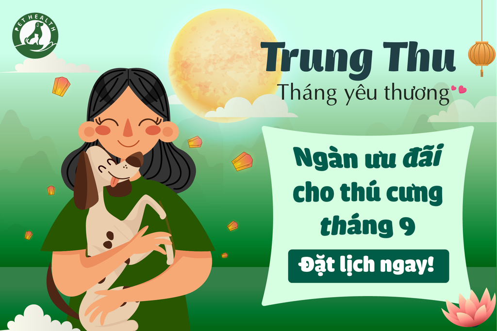 TRUNG THU - THÁNG YÊU THƯƠNG