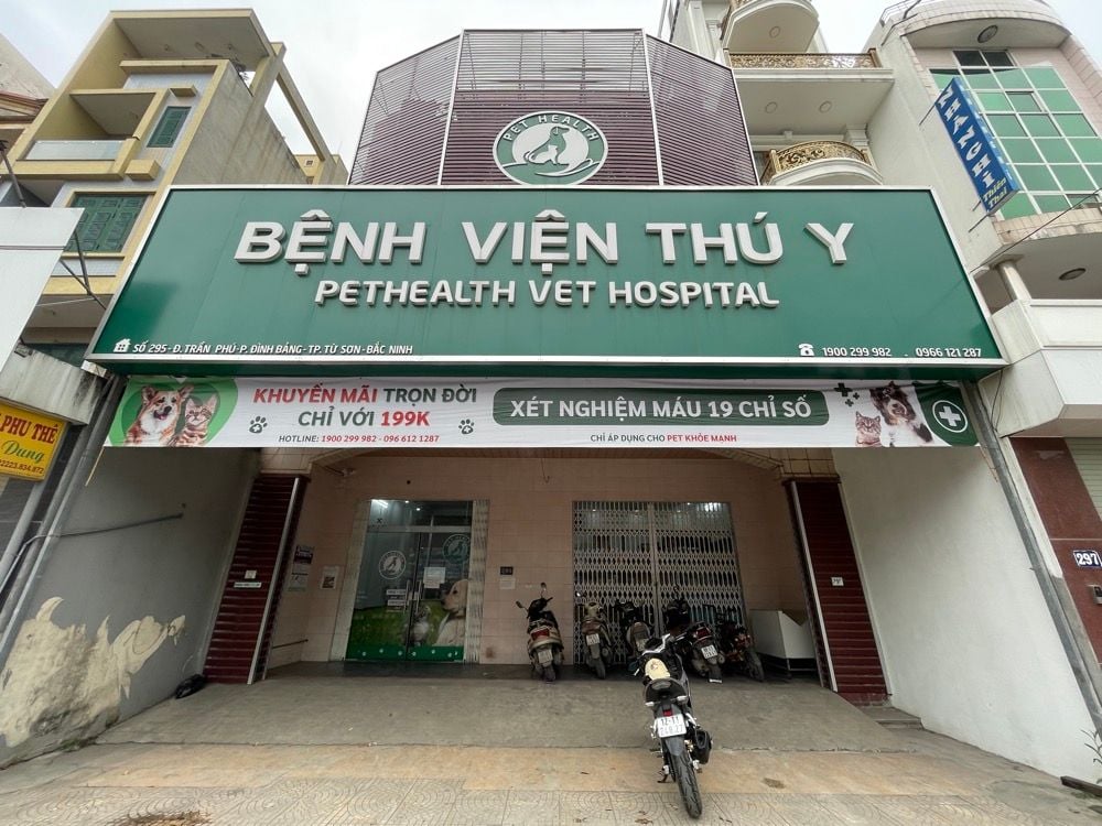 Chi Nhánh Từ Sơn