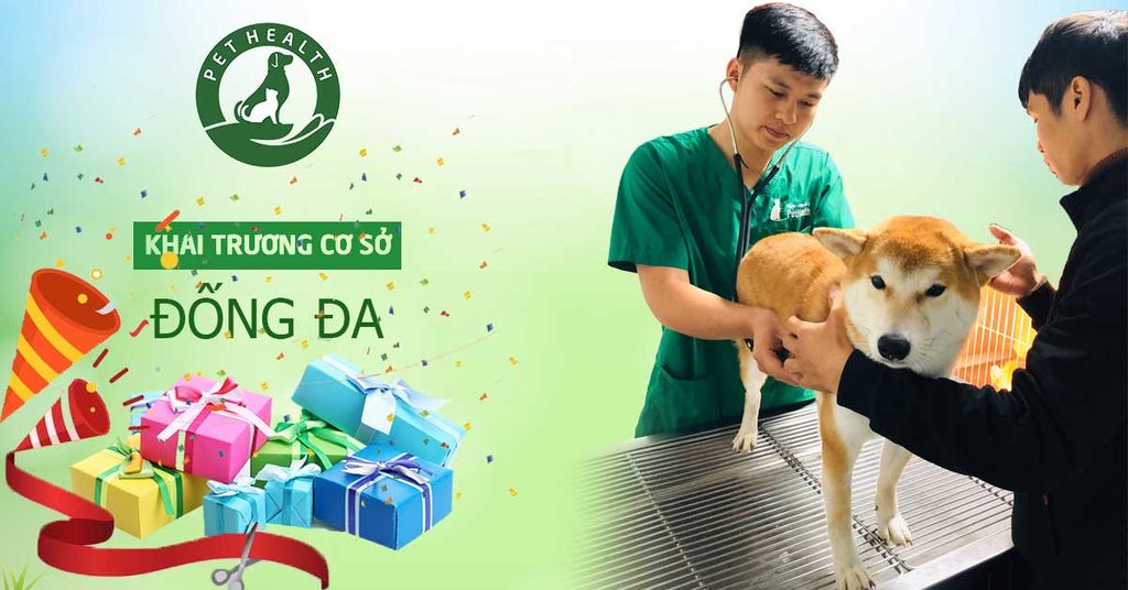 10 ngày miễn phí cùng PetHealth