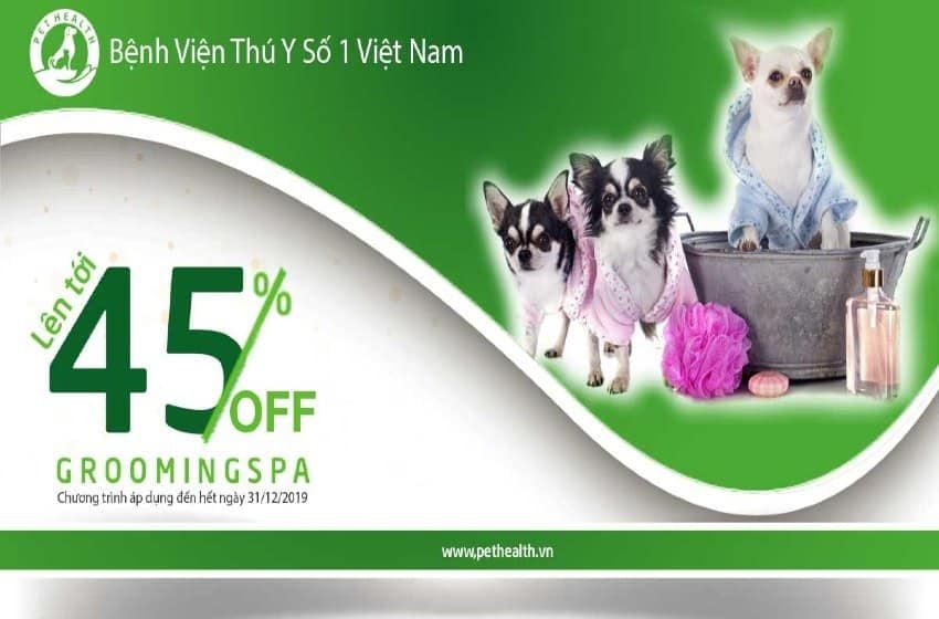 Làm đẹp thú cưng – tưng bừng khuyến mãi
