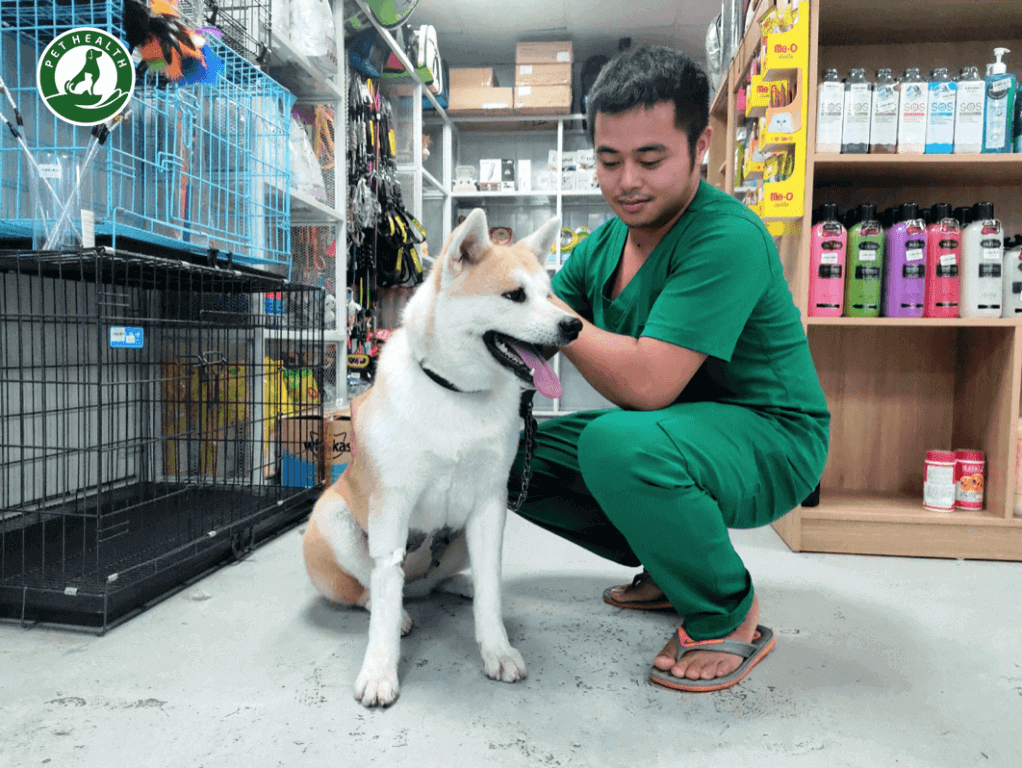 NHỮNG ĐIỀU CẦN BIẾT KHI CHÓ MÈO BỊ LOẠN SẢN XƯƠNG HÔNG