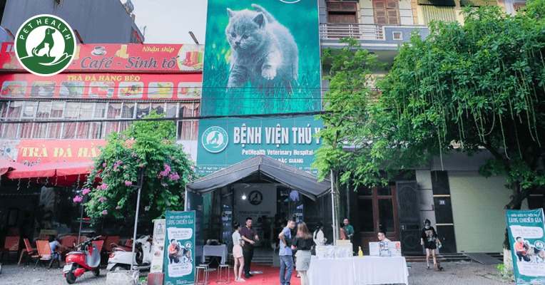 Chi nhánh Bắc Giang