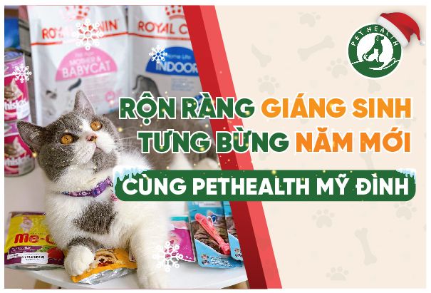 PETHEATLH MỸ ĐÌNH – RỘN RÀNG GIÁNG SINH – TƯNG BỪNG NĂM MỚI