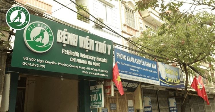 Chi Nhánh Hà Đông