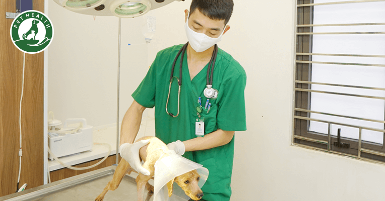 Chi Nhánh Hai Bà Trưng