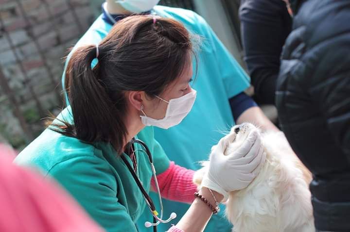 PetHealth Think – Tấm Lòng Rộng Mở Của Bác Sĩ Thú Y