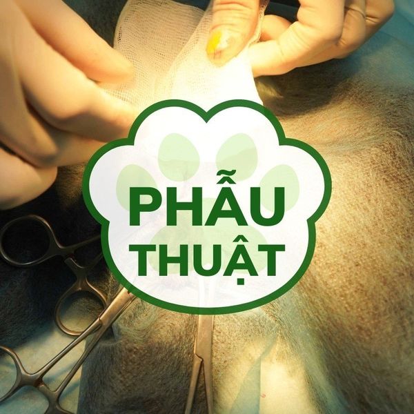 Dịch vụ phẫu thuật