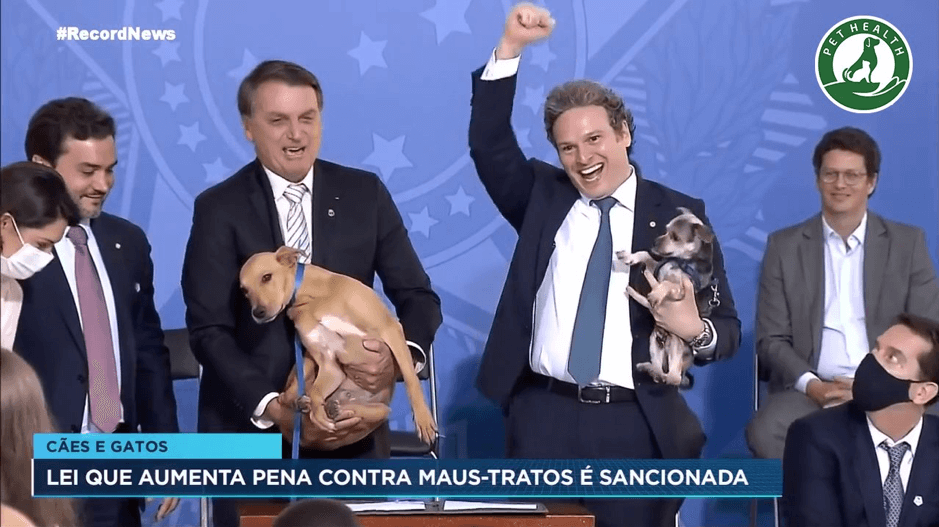 BRAZIL CHÍNH THỨC THÔNG QUA BỘ LUẬT CHỐNG NGƯỢC ĐÃI CHÓ VÀ MÈO