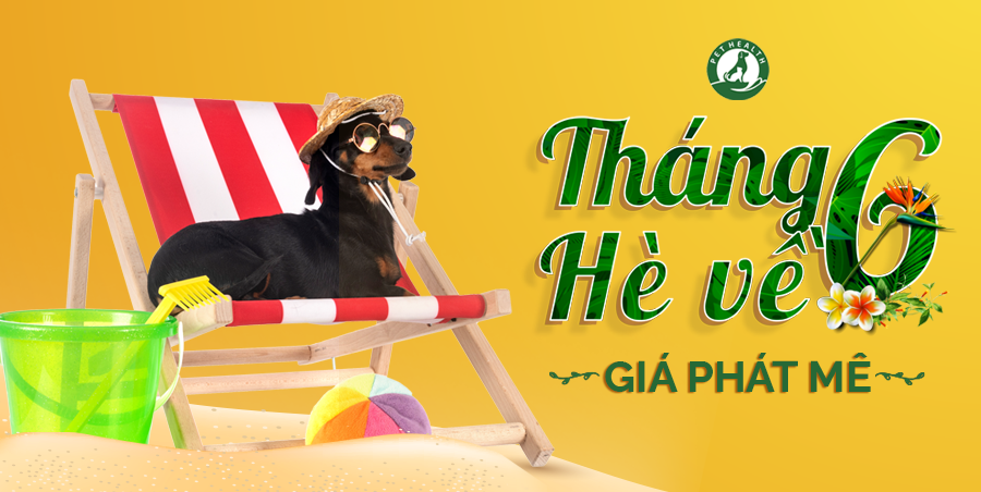 THÁNG 6 HÈ VỀ – GIÁ PHÁT MÊ!
