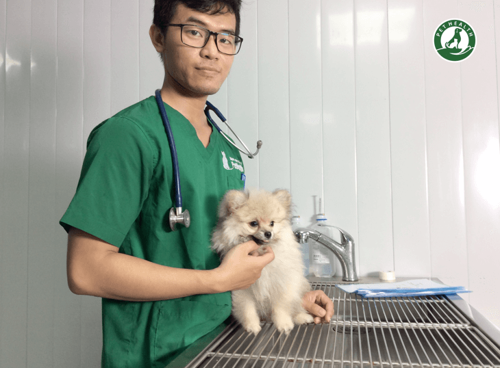 NHỮNG ĐIỀU VỀ TRIỆT SẢN CHÓ CÁI BẠN NÊN BIẾT