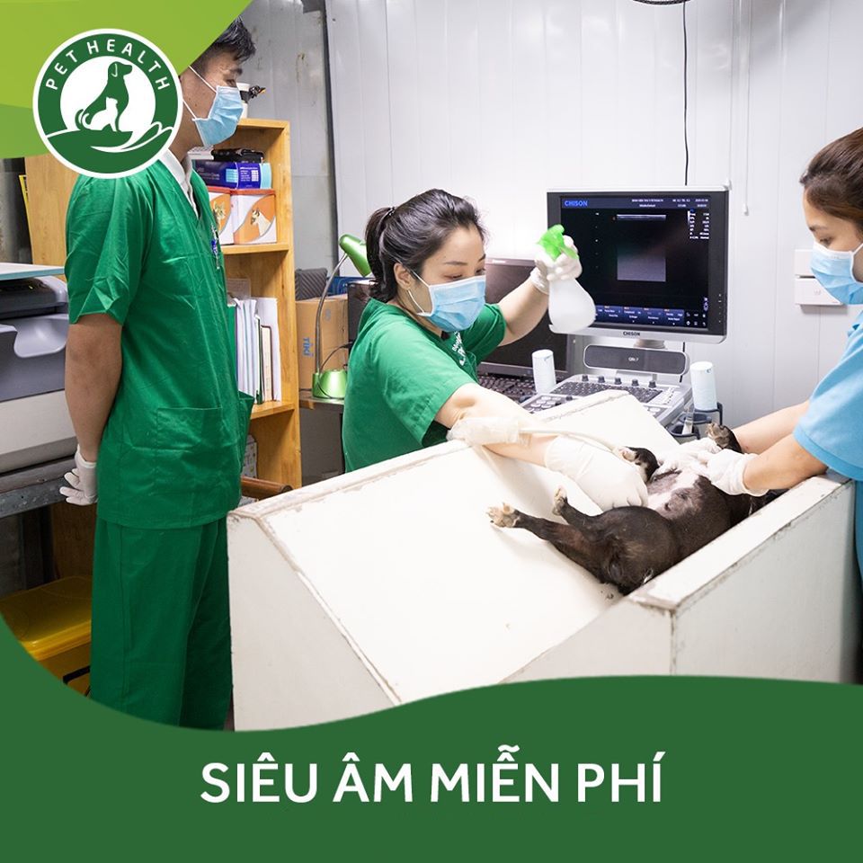 Chương trình siêu âm thai miễn phí tháng 8 – 2020