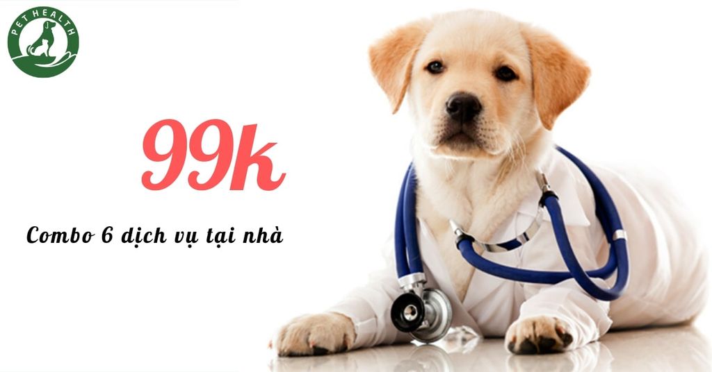 Combo 6 Dịch Vụ Tại Nhà PetHealth Chỉ 99k