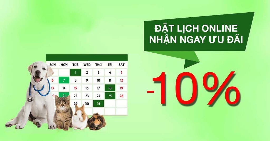 Đặt Lịch Online – Giảm Ngay 10%