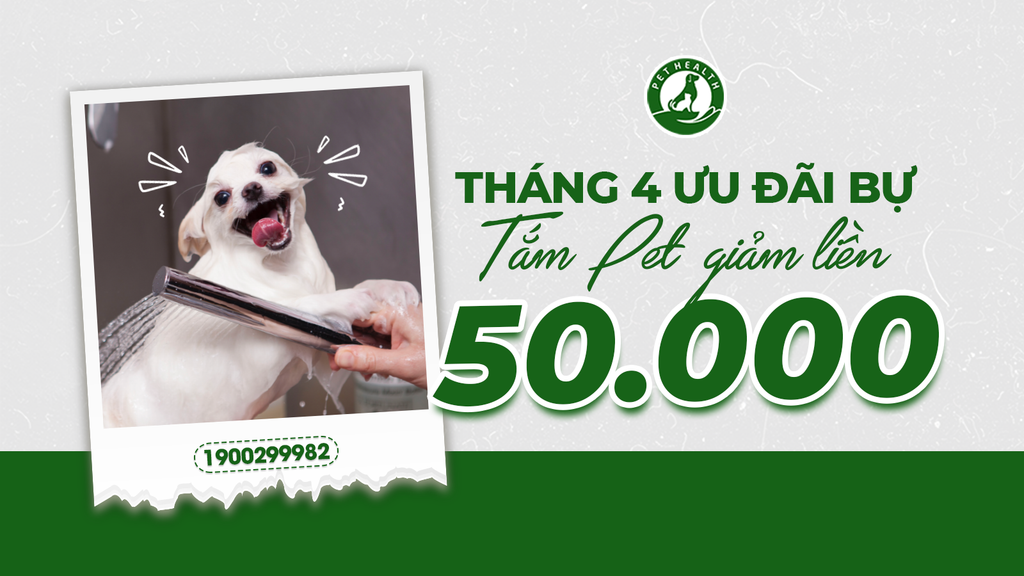 MỪNG THÁNG TƯ – ƯU ĐÃI “BỰ”