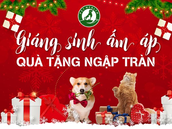 🎄Giáng sinh ấm áp🎅 ️Quà tặng ngập tràn🎁