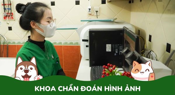 Khoa chẩn đoán hình ảnh