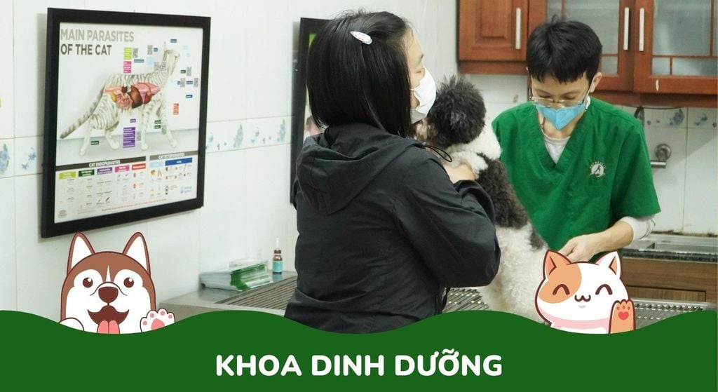 Khoa Dinh Dưỡng