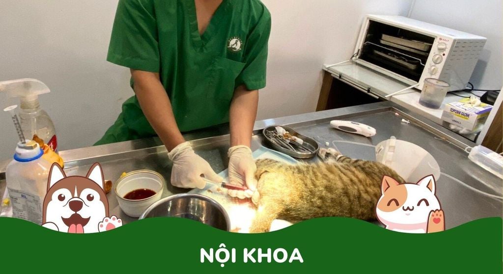 Nội Khoa