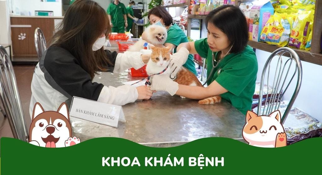 Khoa Khám Bệnh