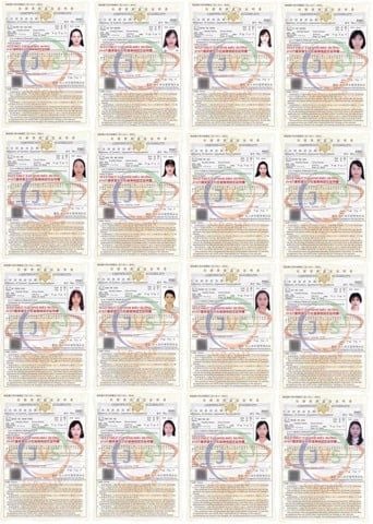2019年6月7日 ベトナムの取引先である「JVSグループ」の実習生16名に「介護」の在留資格認定証明書が下りました。