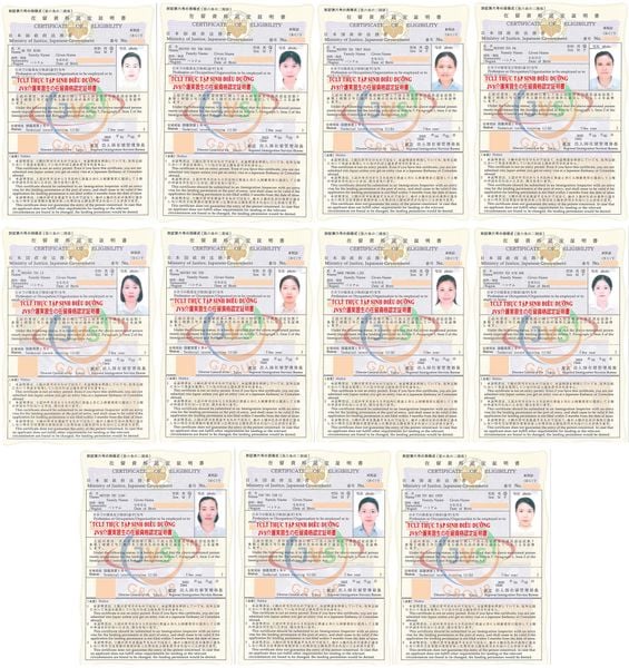 2025年4月4日 ベトナムの取引先である「JVSグループ」の実習生11名に「介護」の在留資格認定証明書が下りました。