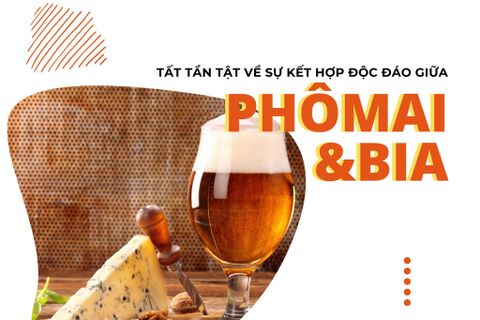 Tất tần tật về sự kết hợp độc đáo giữa bia và phô mai