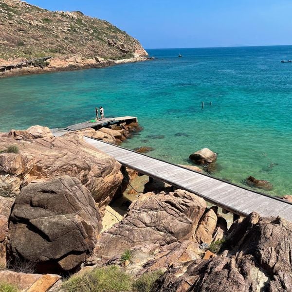 5 lý do bạn phải du lịch Quy Nhơn dịp tết 2025