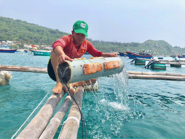 VỊNH XUÂN ĐÀI PHÚ YÊN BÍ KÍP KINH NGHIỆM DU LỊCH CHI TIẾT