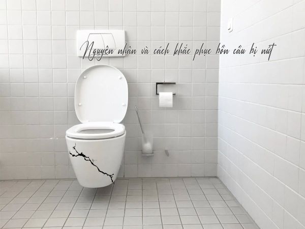 Bồn cầu bị nứt: 6 Nguyên nhân và cách khắc phục hữu hiệu