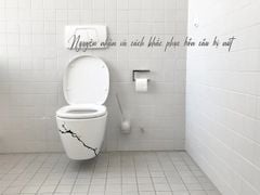 Bồn cầu bị nứt: 6 Nguyên nhân và cách khắc phục hữu hiệu