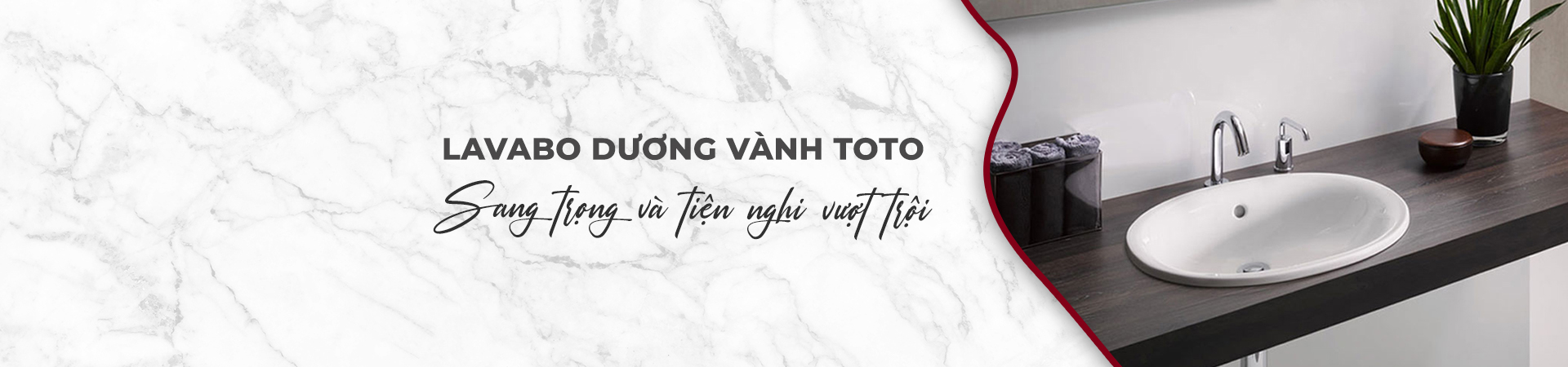 Lavabo dương vành TOTO