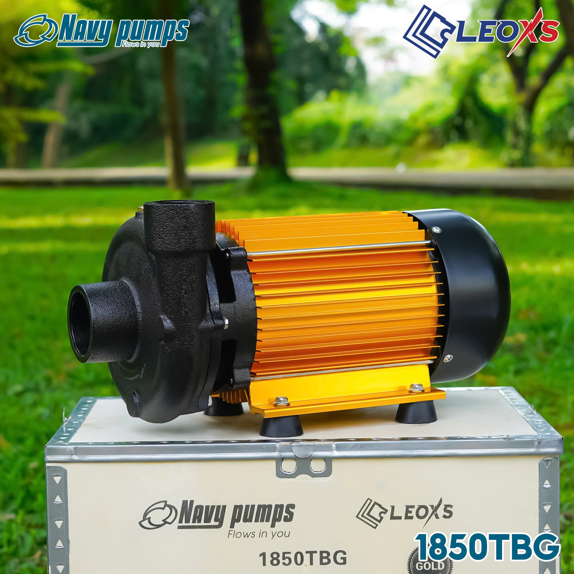 Bơm thân nhôm lưu lượng HTC