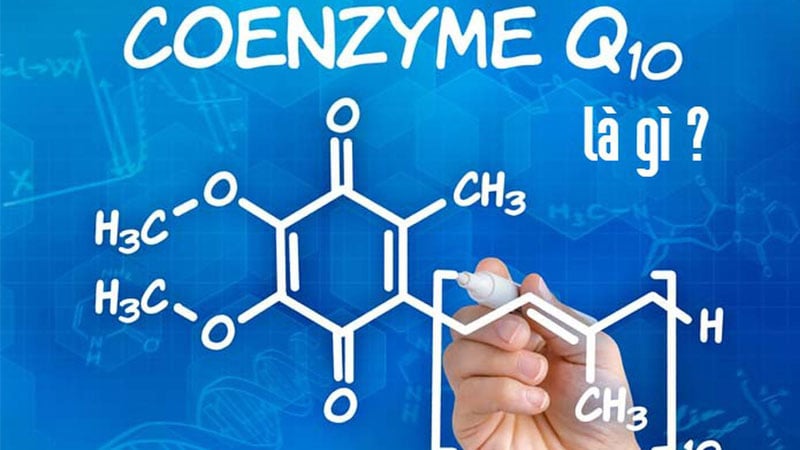 Ubidecarenone (Coenzym Q10)  là gì? Thành phần và công dụng