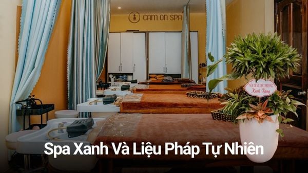 Spa Xanh Và Liệu Pháp Tự Nhiên