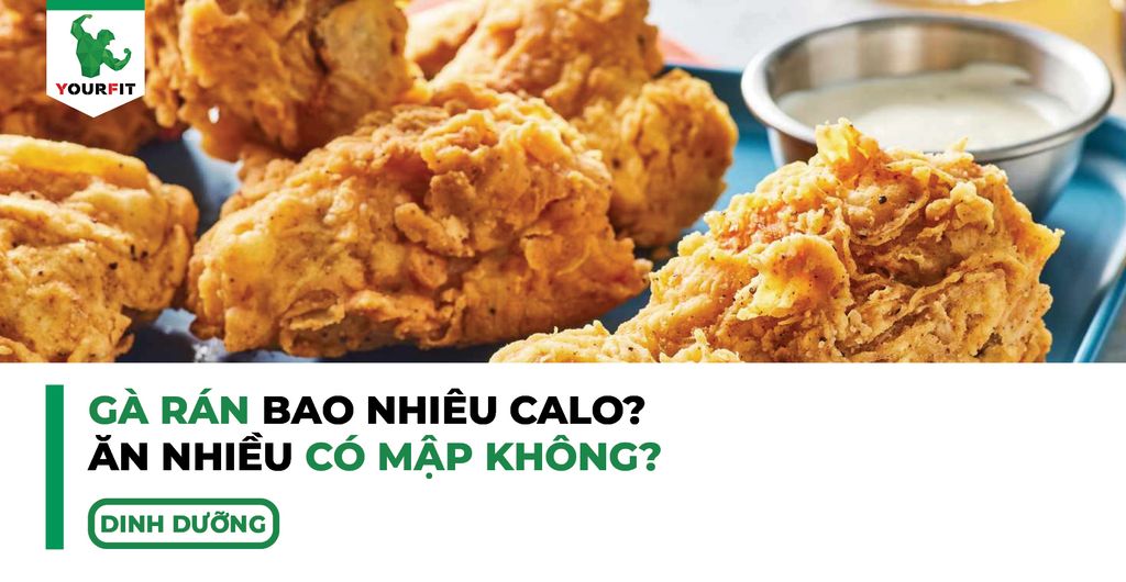 Gà rán bao nhiêu calo, ăn nhiều có mập không?