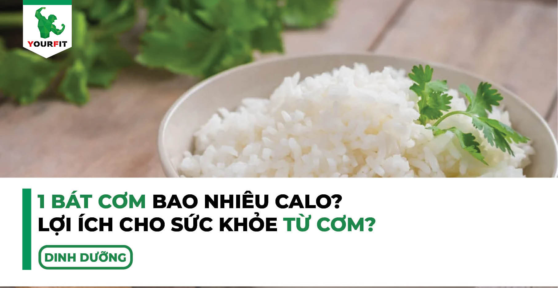 1 bát cơm bao nhiêu calo, lợi ích cho sức khỏe từ cơm?