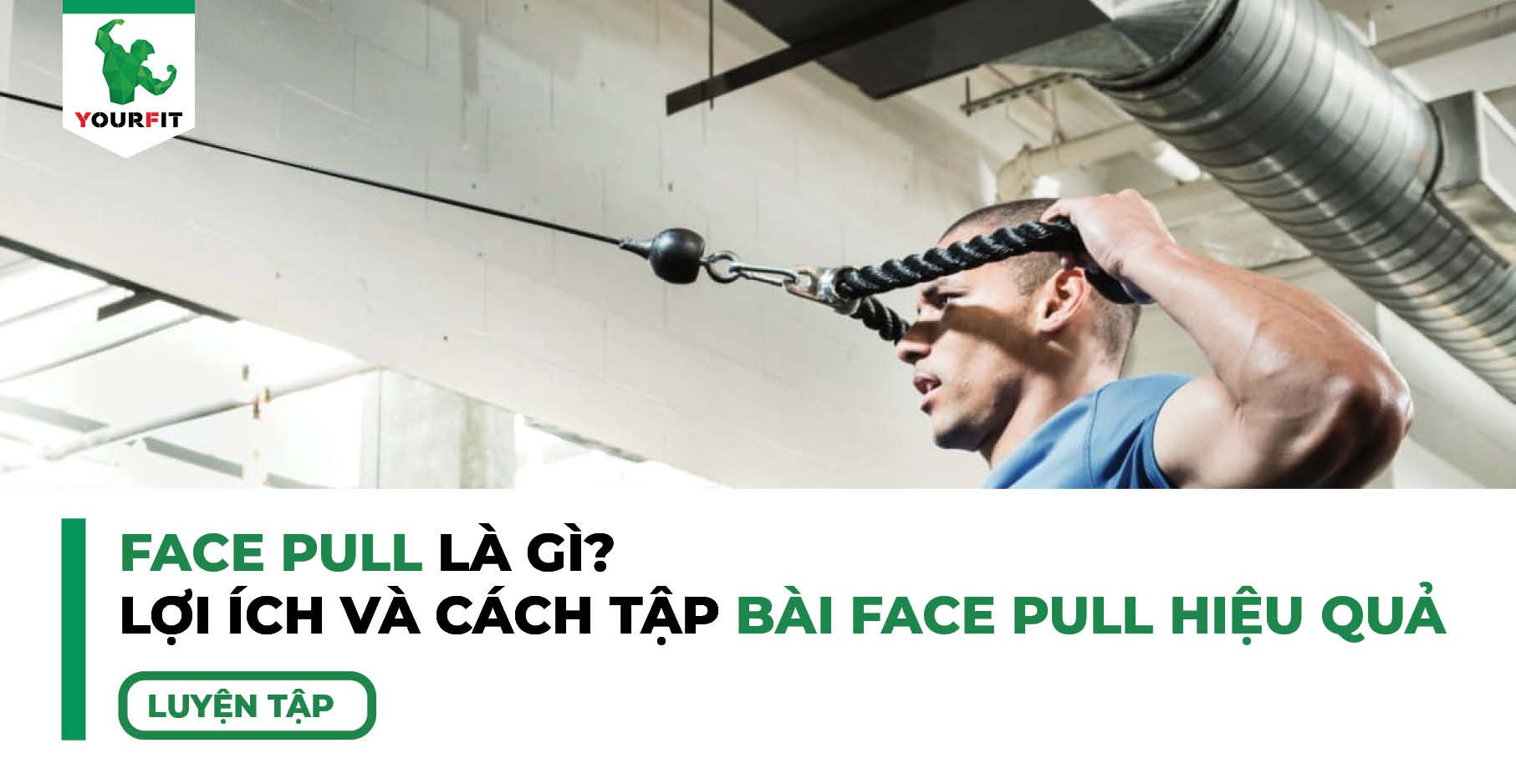 Face Pull Là Gì? Lợi Ích Và Cách Tập Bài Face Pull Hiệu Quả