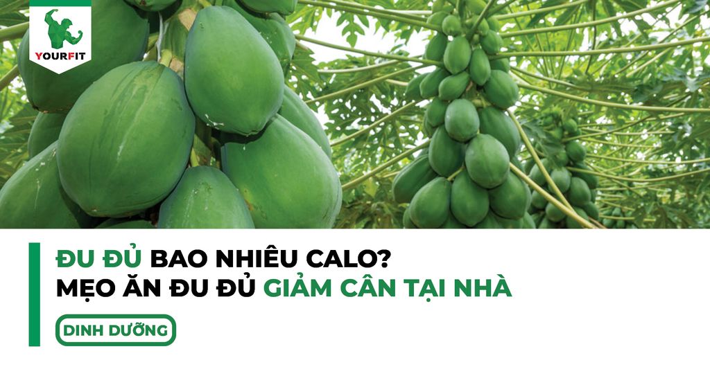 Đu đủ bao nhiêu calo? Mẹo ăn đu đủ giảm cân tại nhà