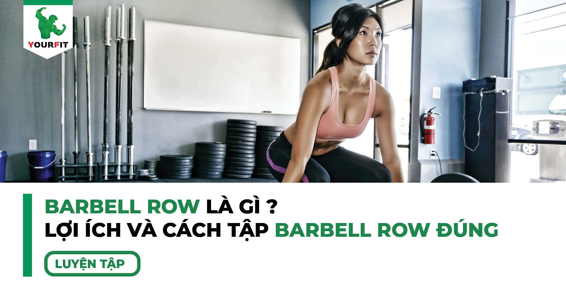 Barbell Row là gì ? Lợi ích và cách tập