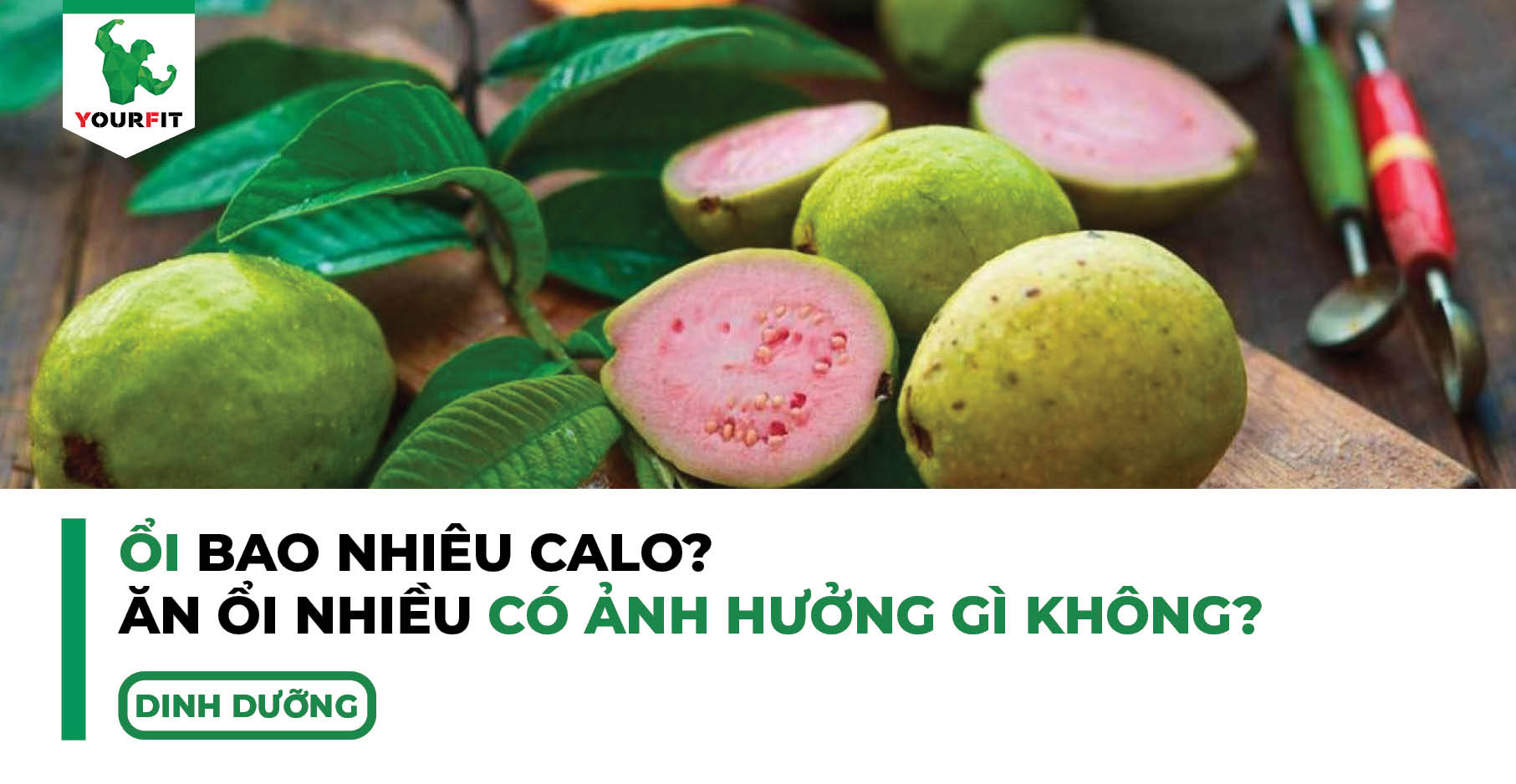 Ổi bao nhiêu calo? Ăn ổi nhiều có ảnh hưởng gì không?