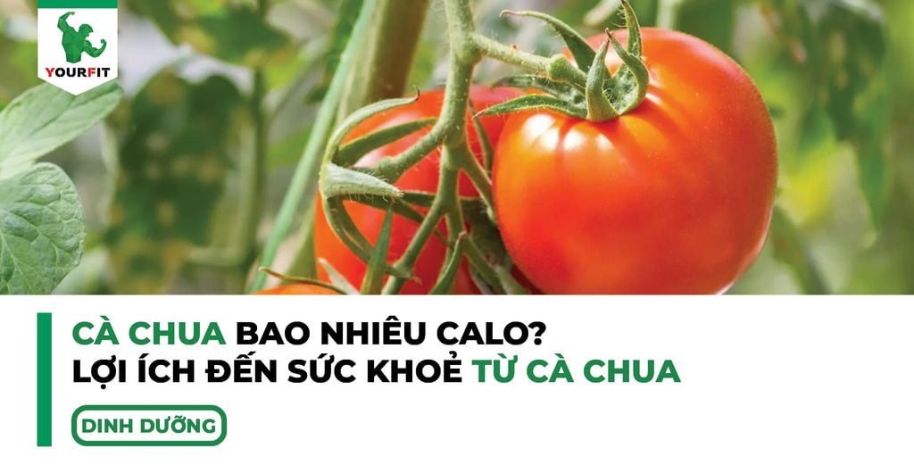 Cà chua bao nhiêu calo, lợi ích đến sức khoẻ từ cà chua