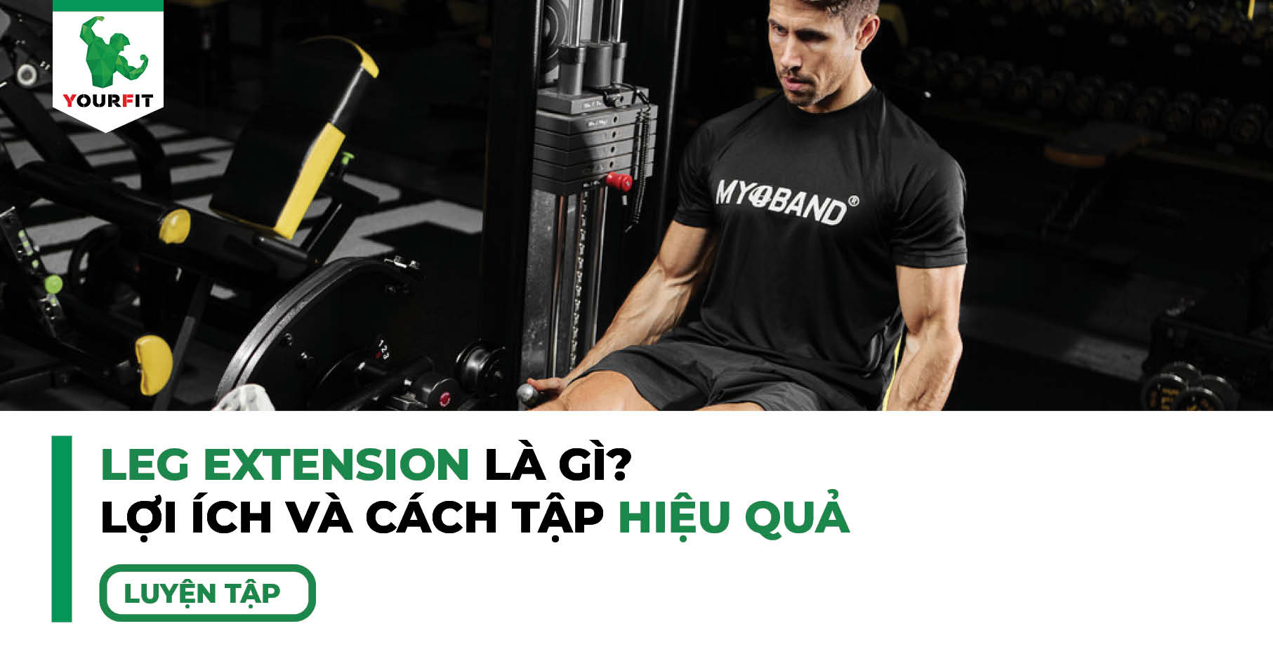 Leg Extension Là Gì? Lợi Ích Và Cách Tập