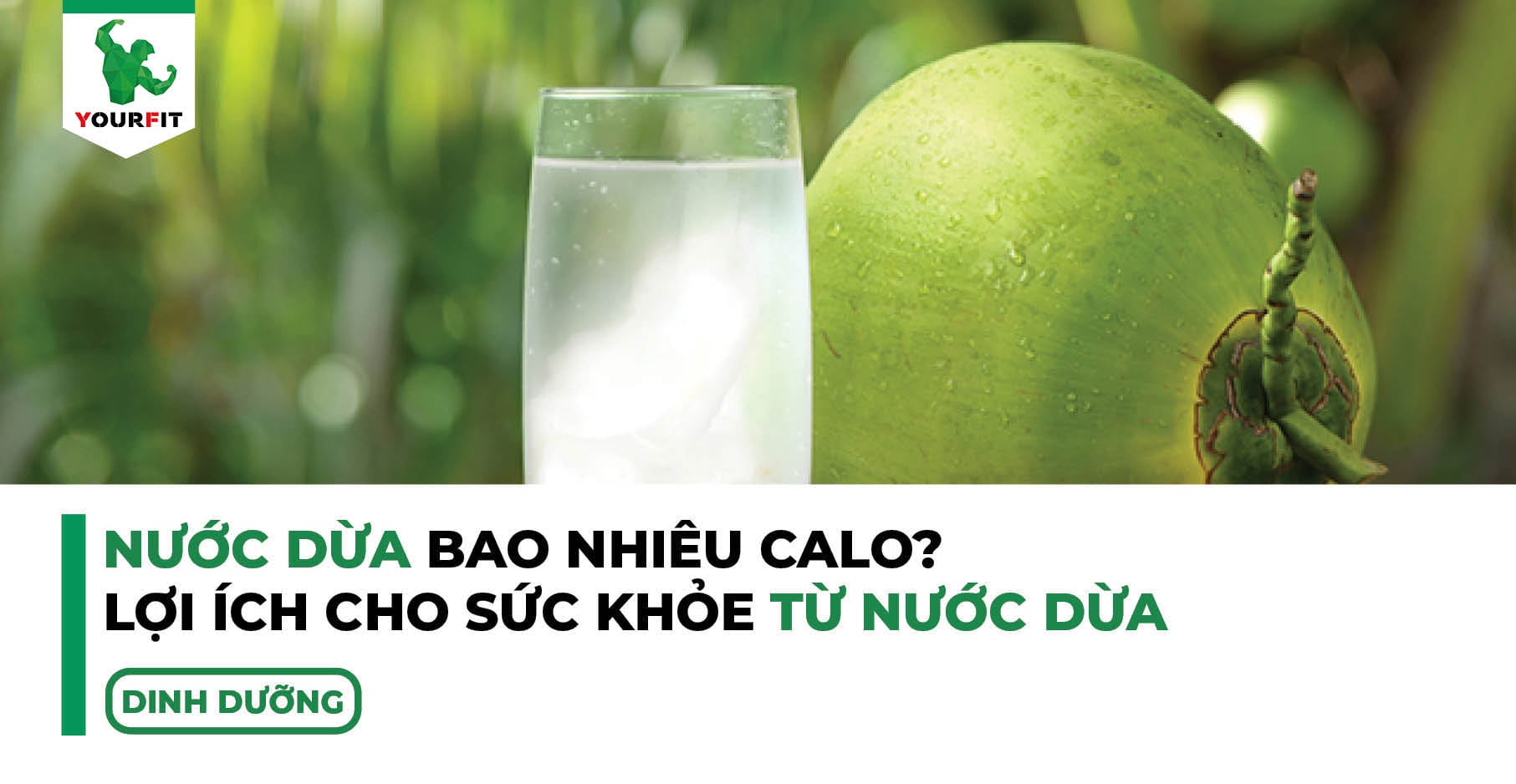Nước dừa bao nhiêu calo, lợi ích cho sức khỏe từ nước dừa?