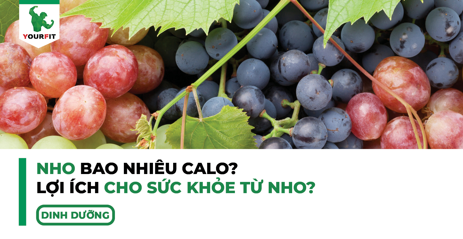 Nho bao nhiêu calo, lợi ích cho sức khỏe từ nho?