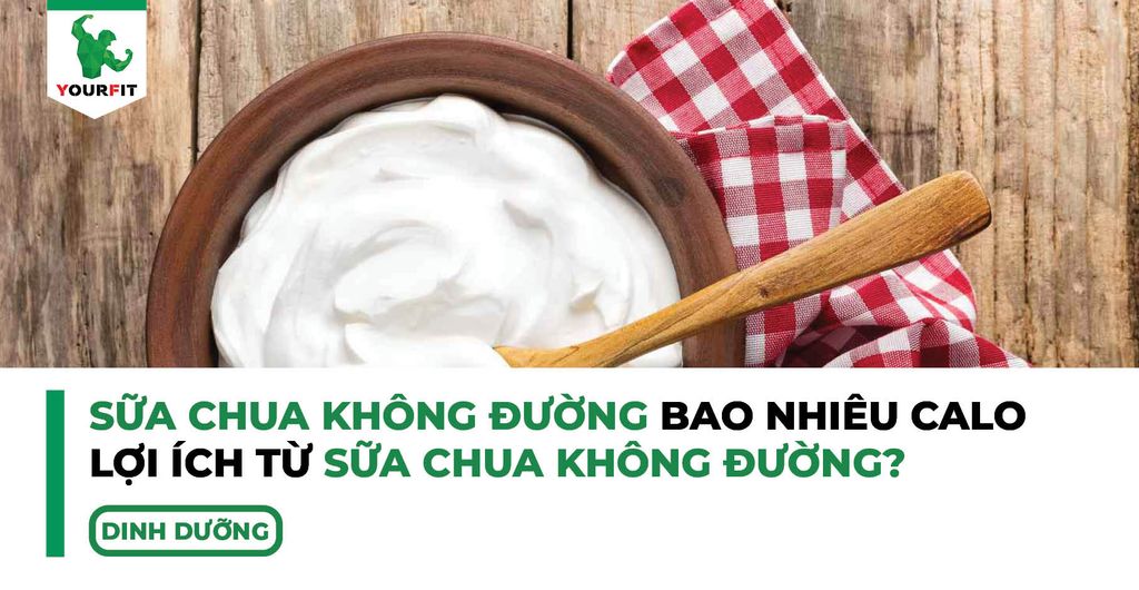 Sữa chua không đường bao nhiêu calo? Lợi ích từ sữa chua không đường?
