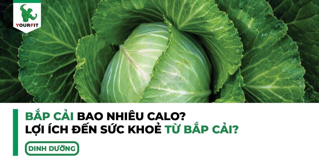 Bắp cải bao nhiêu calo, lợi ích đến sức khoẻ từ bắp cải?