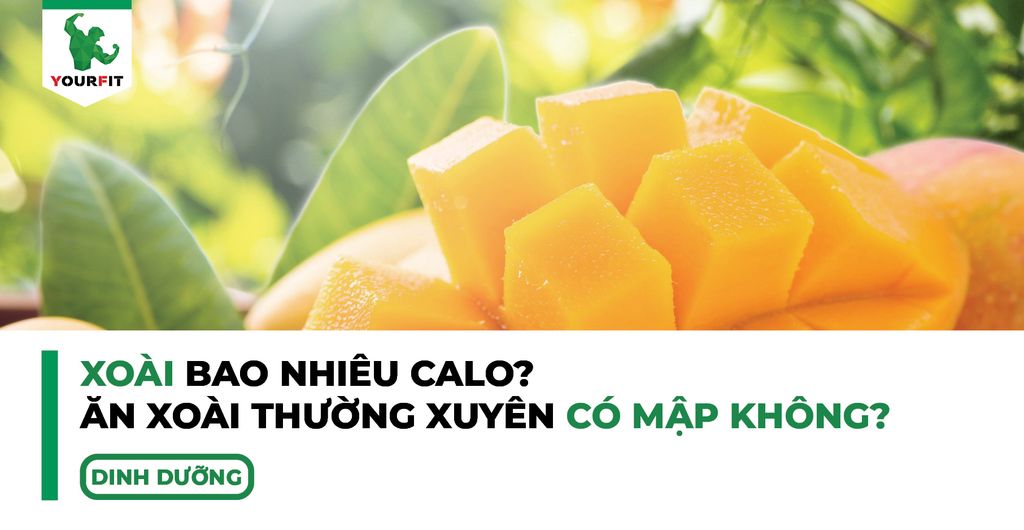 Xoài bao nhiêu calo, ăn xoài thường xuyên có mập không?