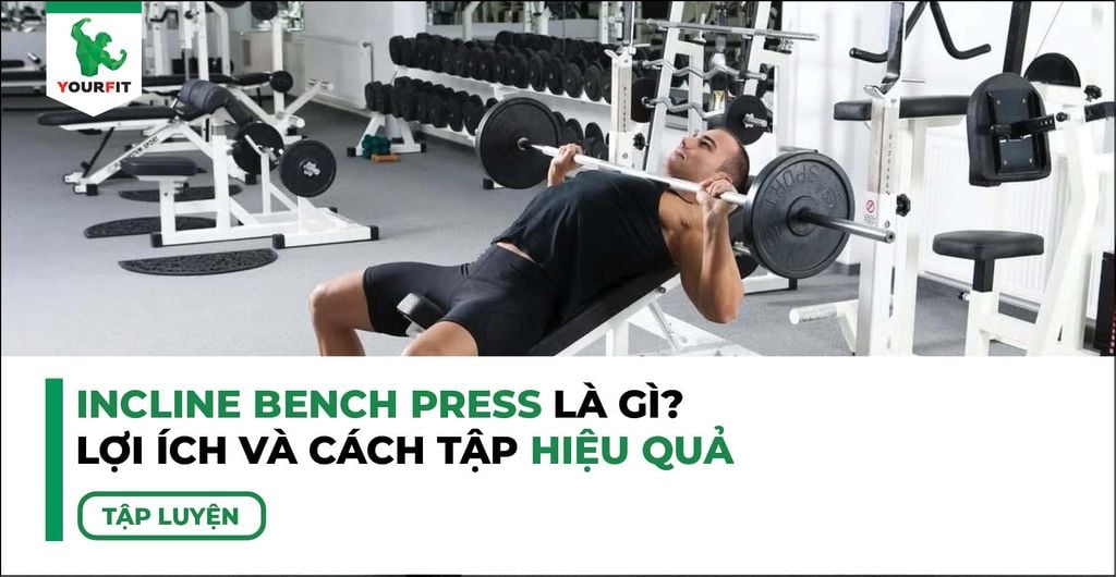 Incline Bench Press Là Gì? Lợi Ích và Cách Tập Bài