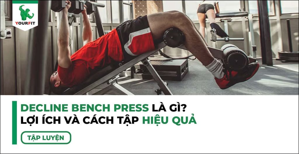 Decline Bench Press Là Gì? Lợi Ích Và Cách Tập