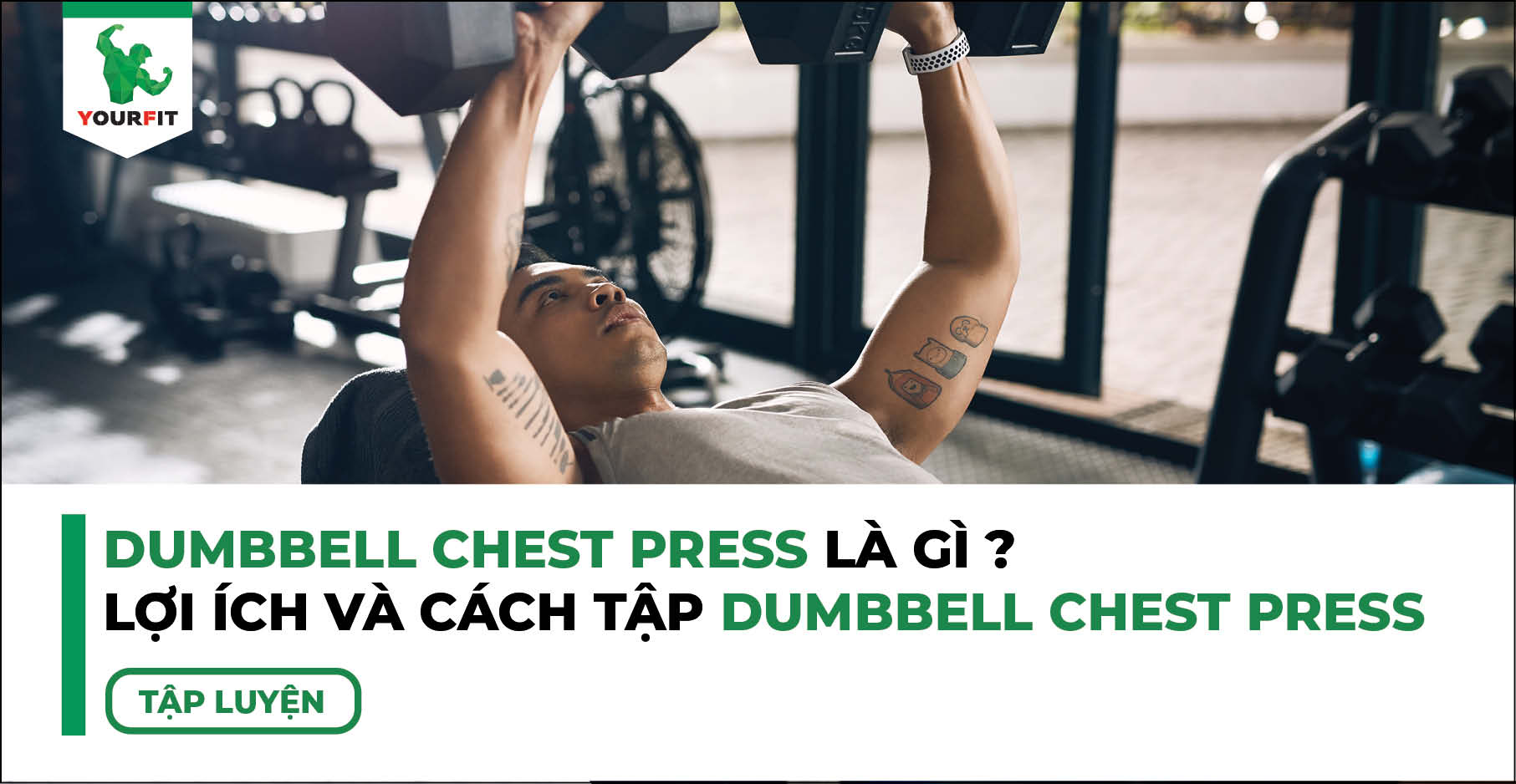 Dumbbell Chest Press là gì ? Lợi ích và cách tập